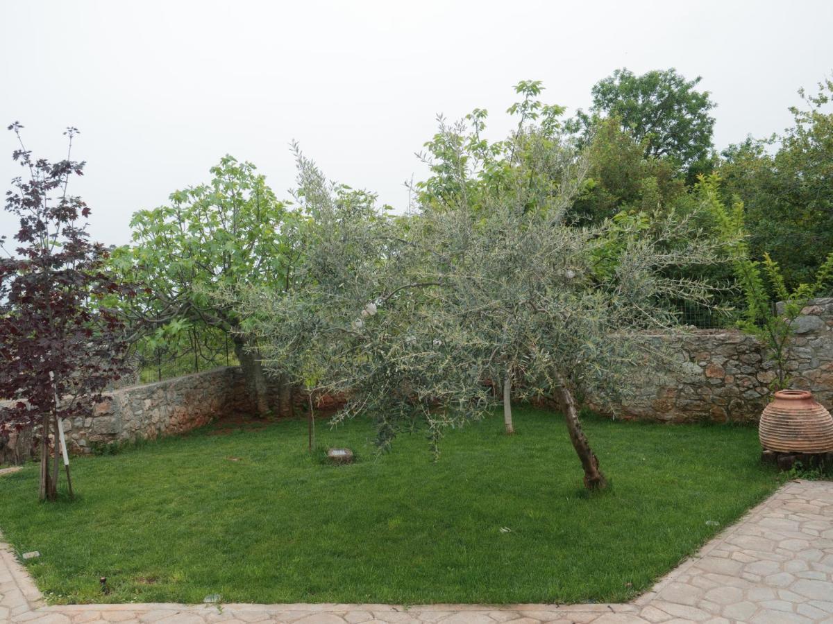Vintage Stone-Built Country Cottage In Richea Kouloureika 외부 사진